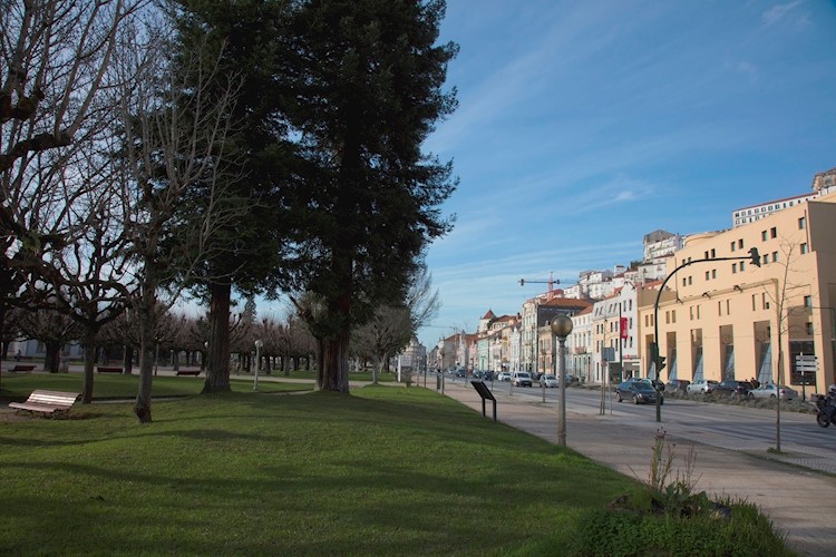 Parque Dr. Manuel Braga