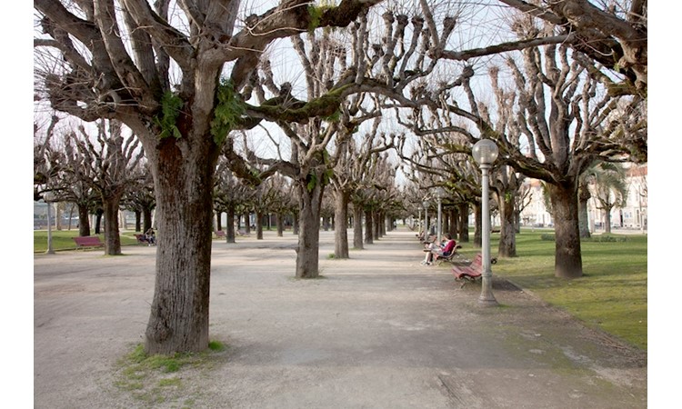 Manuel Braga Park