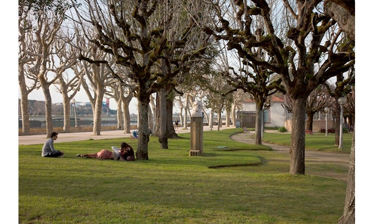 Manuel Braga Park