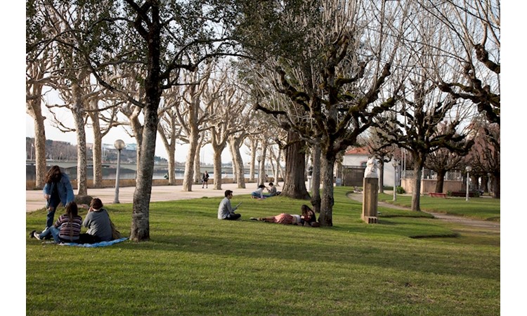 Manuel Braga Park