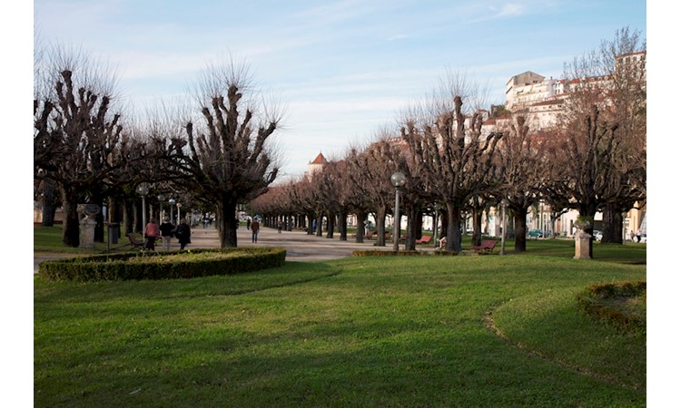 Manuel Braga Park