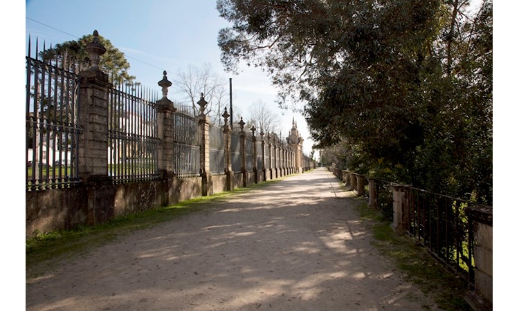 Botanical Garden of the University of Coimbra