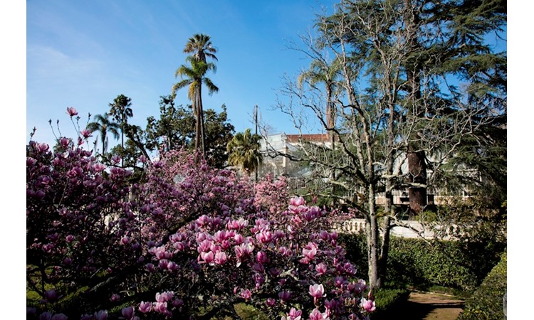 Botanical Garden of the University of Coimbra