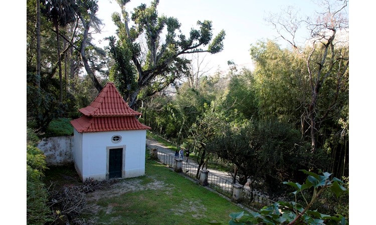 Botanical Garden of the University of Coimbra