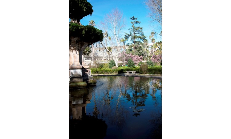 Botanical Garden of the University of Coimbra