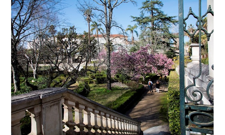 Botanical Garden of the University of Coimbra