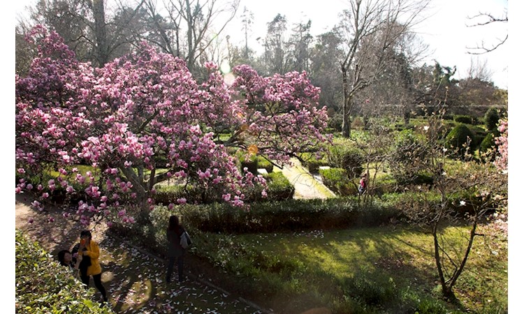 Botanical Garden of the University of Coimbra