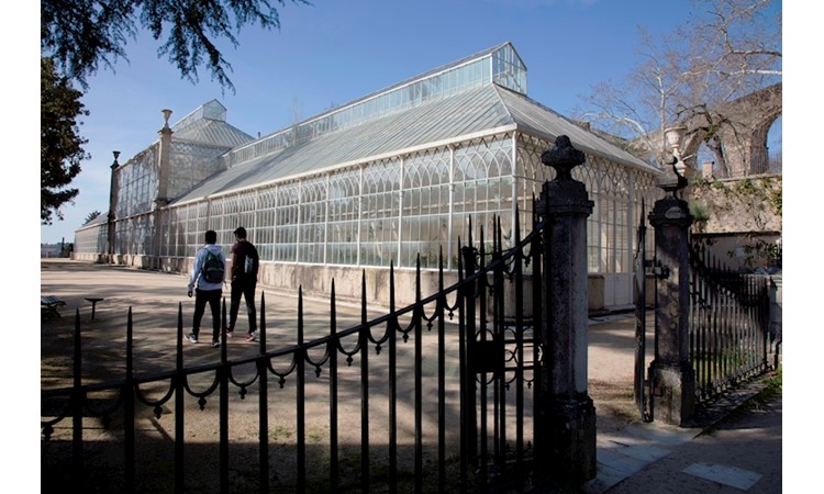 Botanical Garden of the University of Coimbra