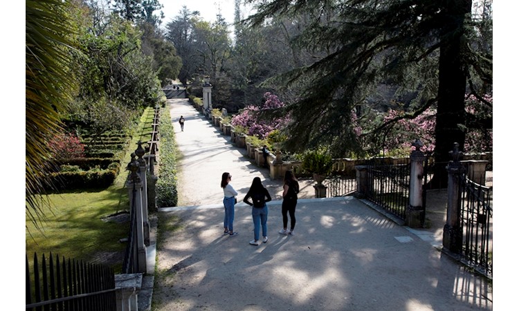 Botanical Garden of the University of Coimbra