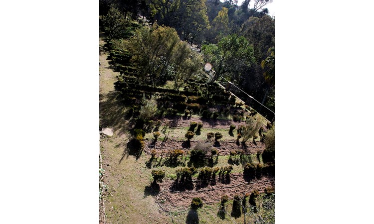 Botanical Garden of the University of Coimbra
