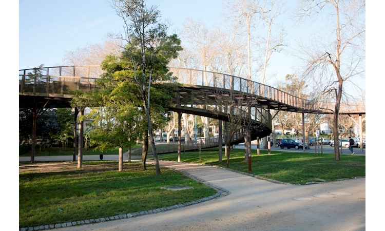 D. Pedro Park