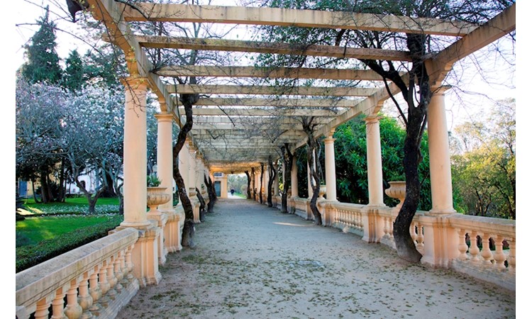 D. Pedro Park