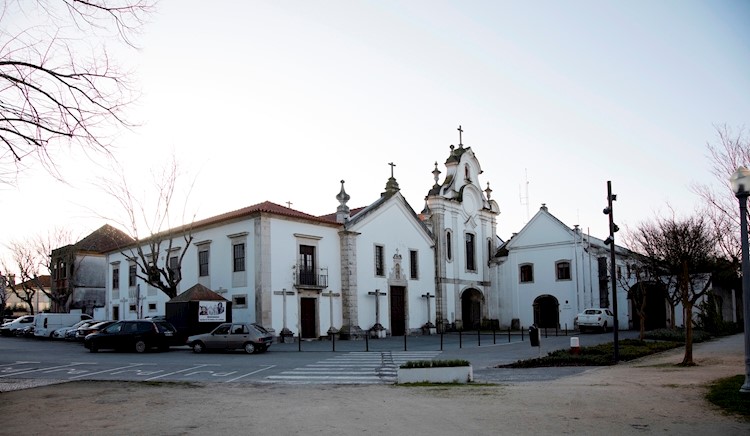 D. Pedro Park