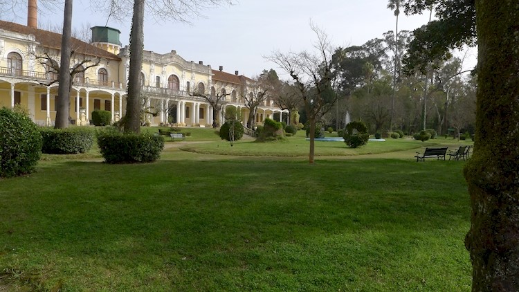 Parque Termal das Termas da Curia