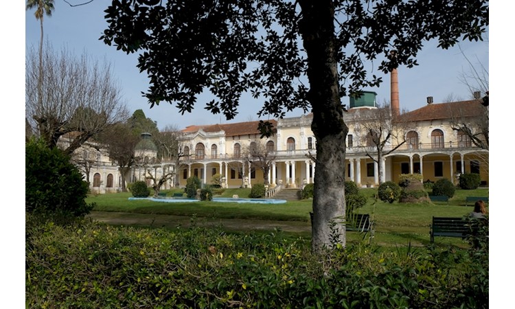 Curia Park