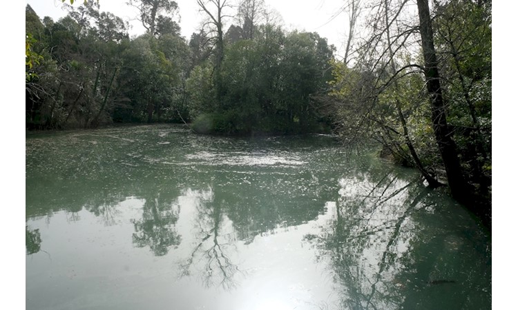 Curia Park