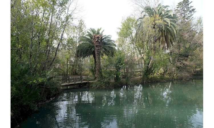 Curia Park