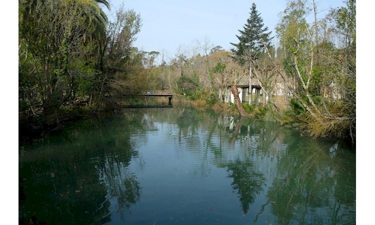 Curia Park