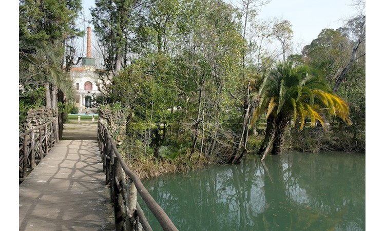 Curia Park