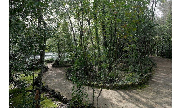 Curia Park