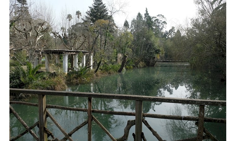 Curia Park