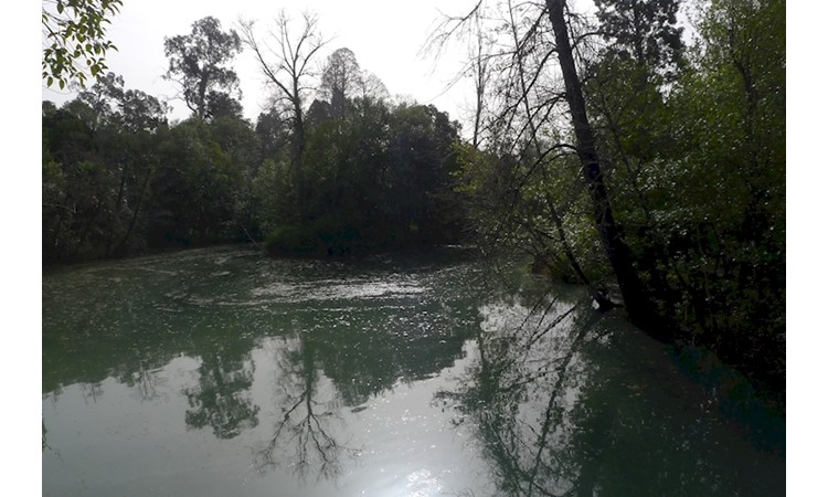 Curia Park
