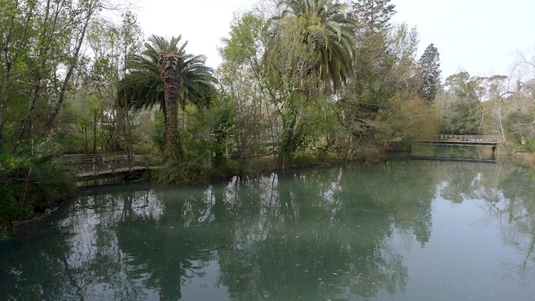 Curia Park