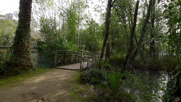 Curia Park
