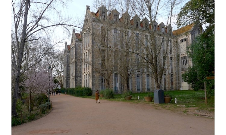 D. Carlos I  Park