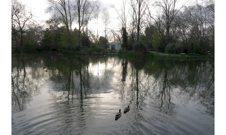 D. Carlos I  Park