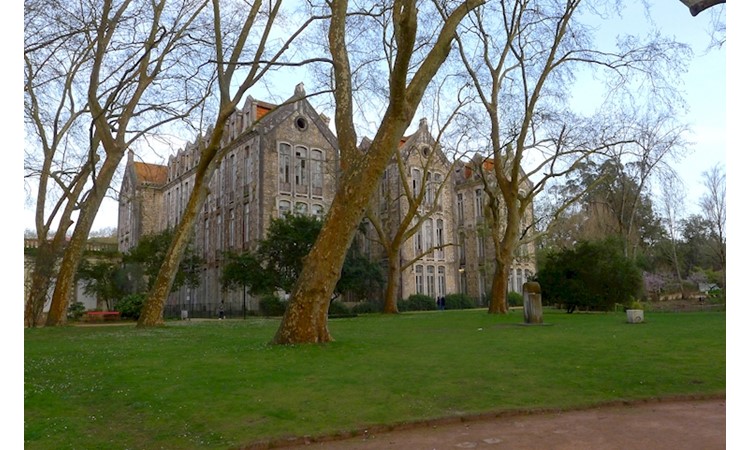 D. Carlos I  Park