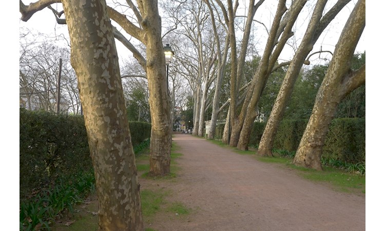 D. Carlos I  Park