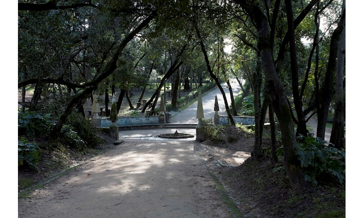 Garden of the Mermaid