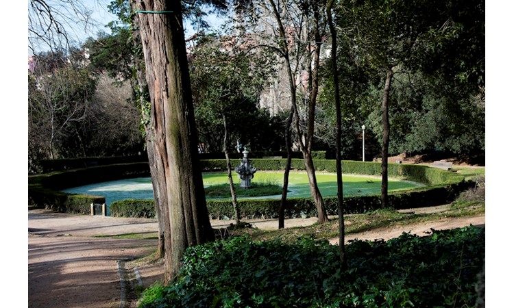Garden of the Mermaid