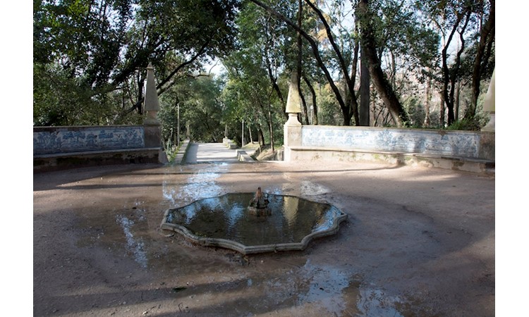 Garden of the Mermaid