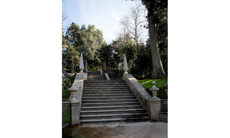 Garden of the Mermaid