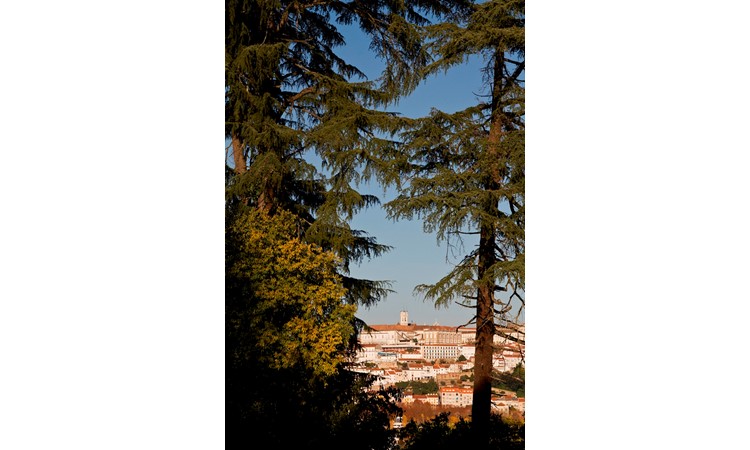 Quinta das Lágrimas