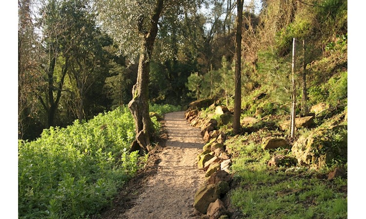 Quinta das Lágrimas