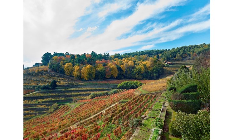 Quinta de Santa Júlia