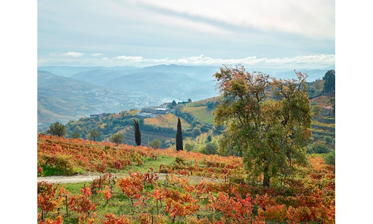 Quinta de Santa Júlia