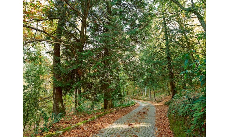 Quinta de Santa Júlia