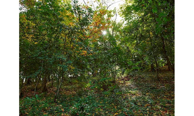 Quinta de Santa Júlia