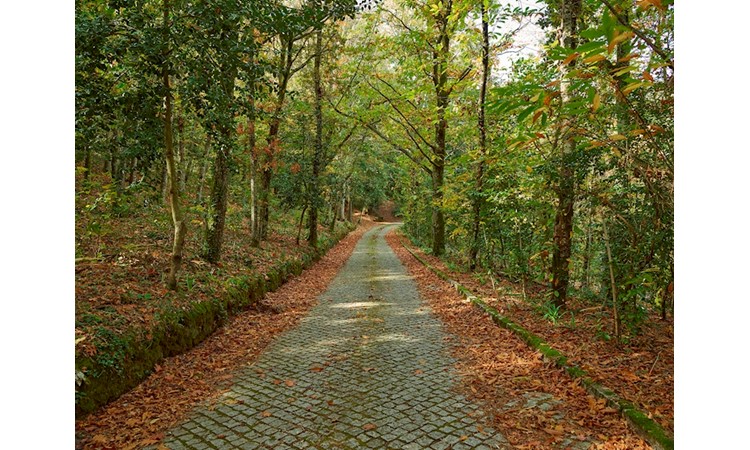 Quinta de Santa Júlia