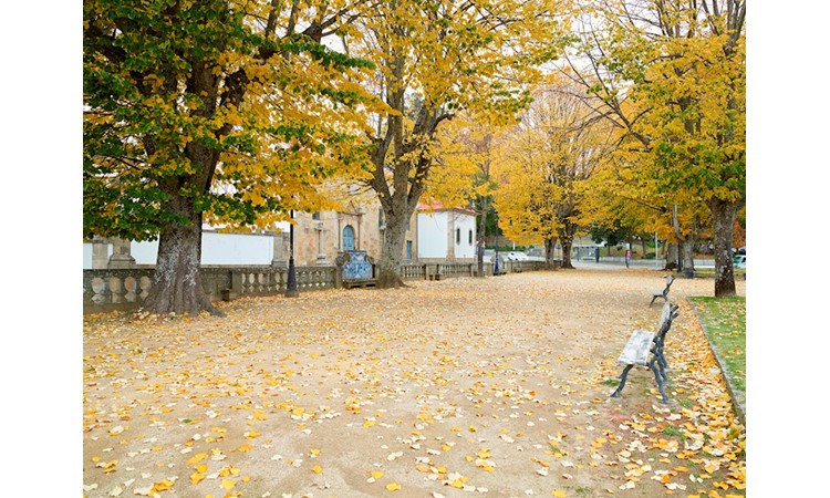 Lamego Public Garden