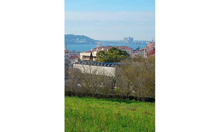 Tapada da Ajuda