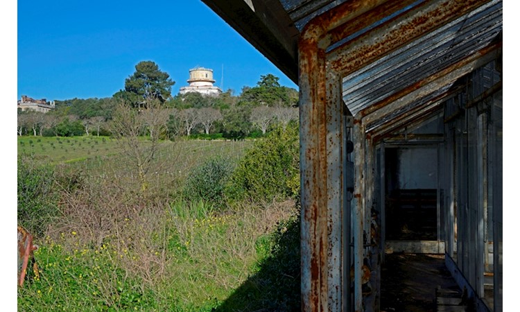 Tapada da Ajuda
