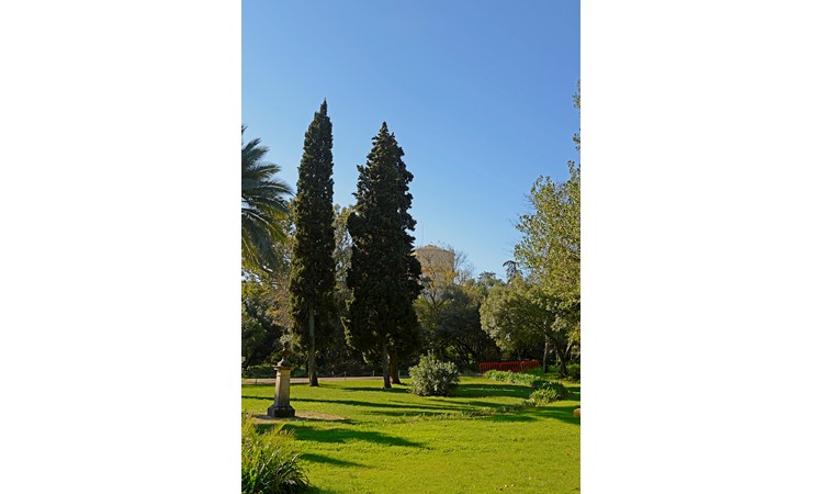 Tapada da Ajuda