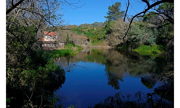 Tapada da Ajuda