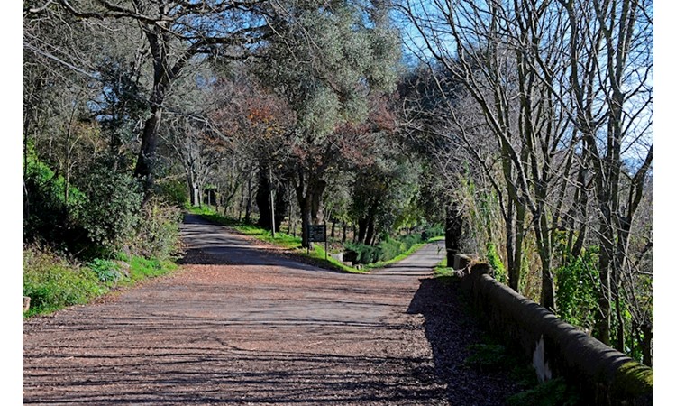 Tapada da Ajuda