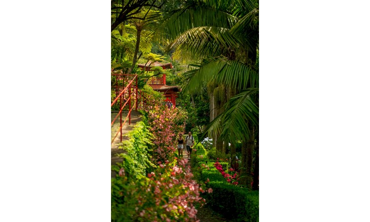 MONTE PALACE MADEIRA – TROPICAL GARDEN